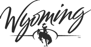 Wyoming Audit